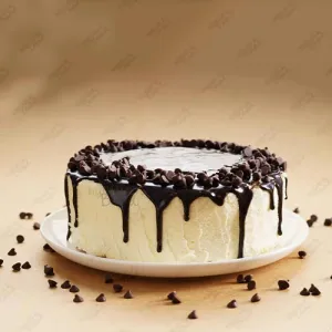 Chocochip Cake