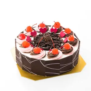 Chocolate Bar Coating Cake